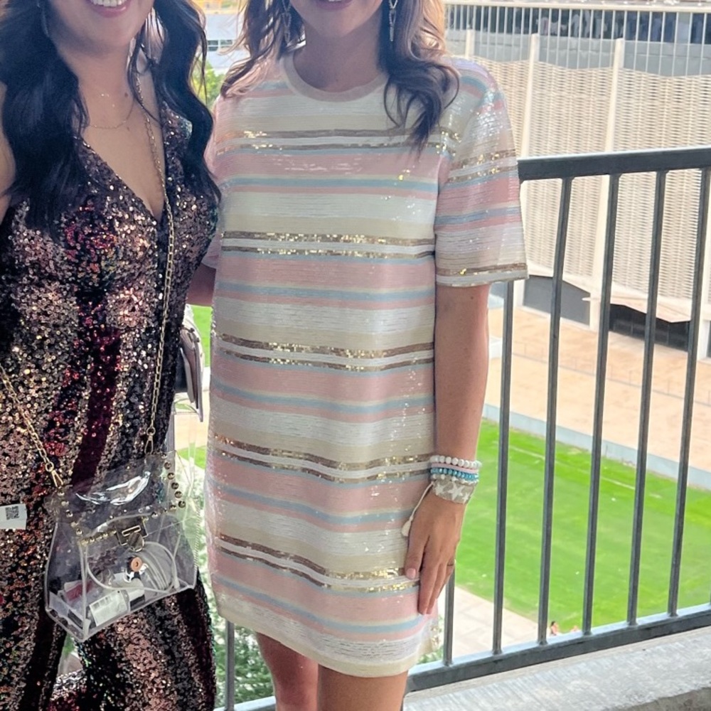 Taylor Swift Lover Era dress perfect for her concert